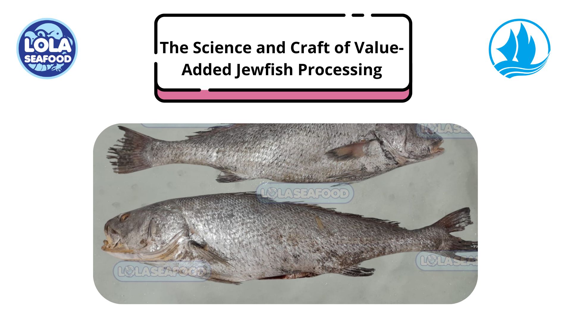 The Science and Craft of Value-Added Jewfish Processing